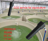 O sensor RS485 da qualidade de água de 10000PPM IP68 dissolveu o sensor do CO2 para a cultura aquática
